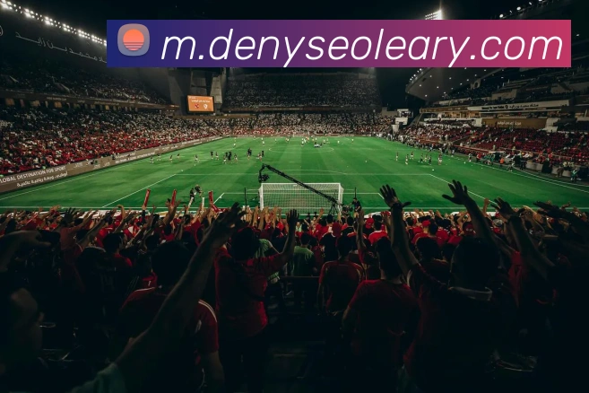 对战数据统计